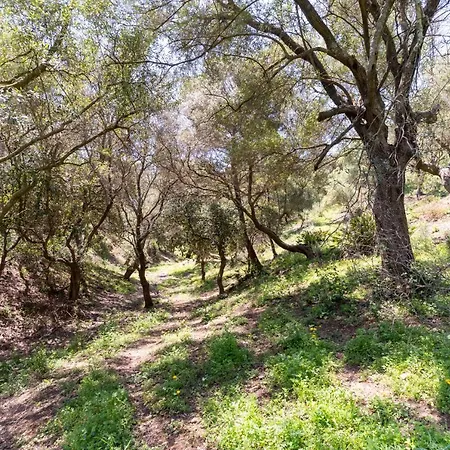 Sta Teresa, Casa Grande