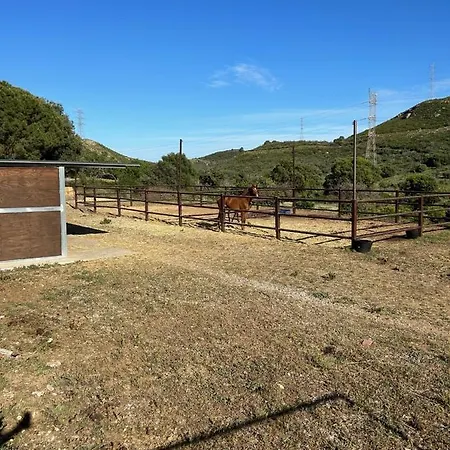 Hébergement de vacances Sta Teresa, Casa Grande Estepona