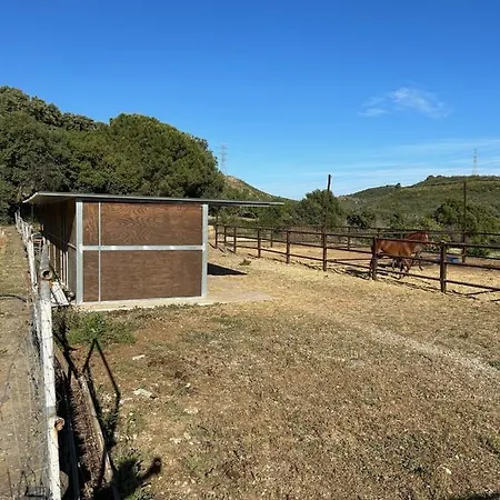 Sta Teresa, Casa Grande * Estepona